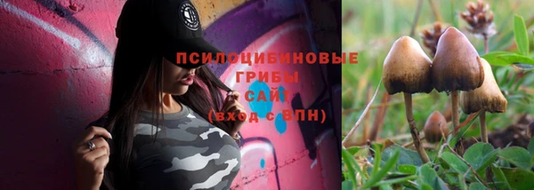 apvp Алексин