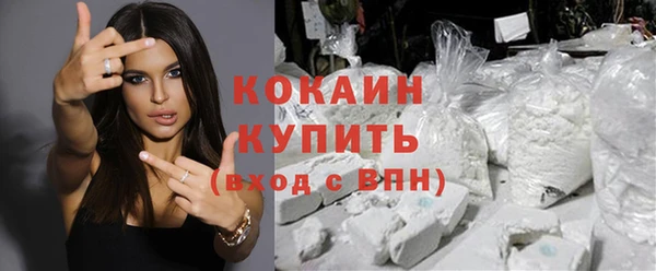 гашик Алзамай