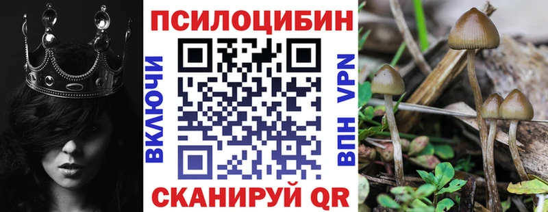 Псилоцибиновые грибы Cubensis  Чишмы 